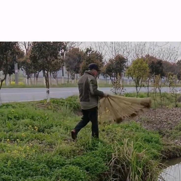 过好每一天