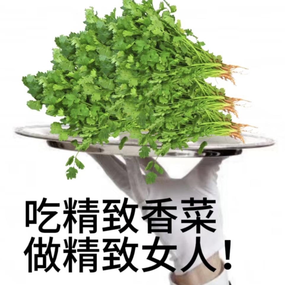 婷婷子爱吃香菜