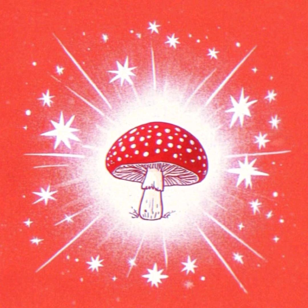 不过尔尔
