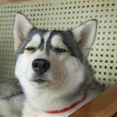 石榴镇在逃填鸭