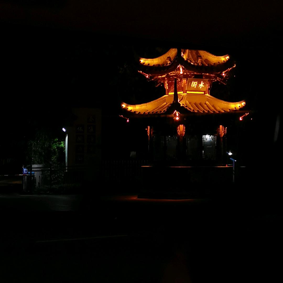 蝴蝶花