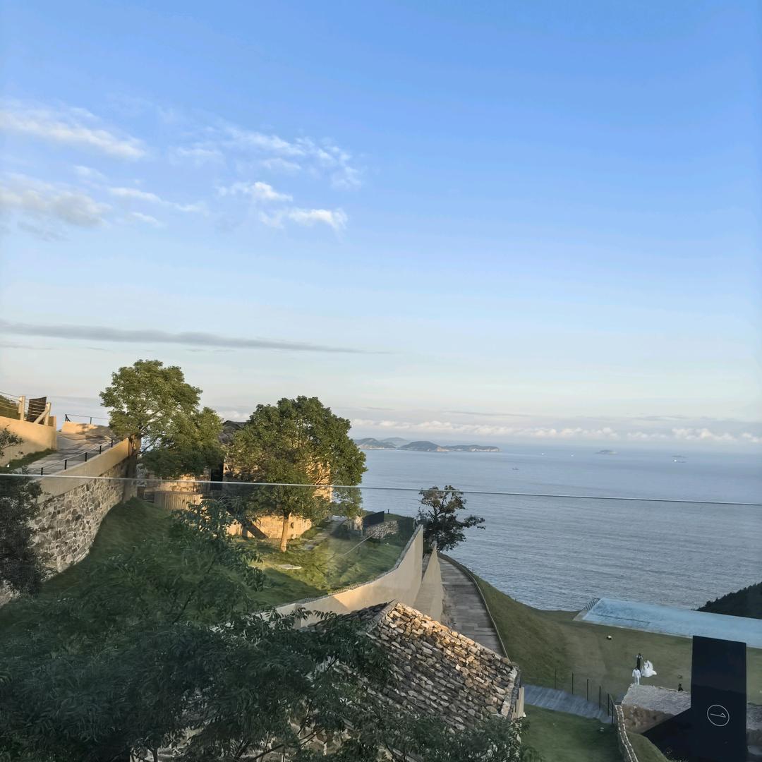 龙掌柜