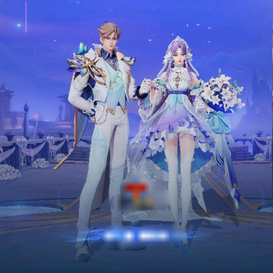 @王家大公子