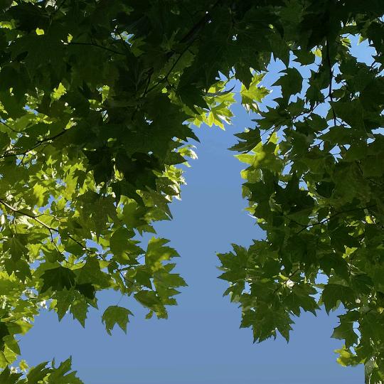 平平淡淡才是真