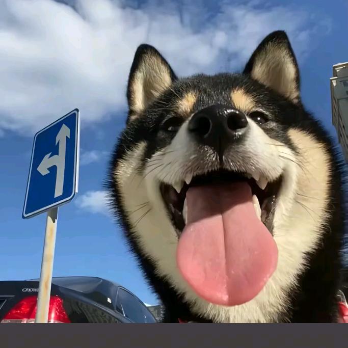 扶老奶奶闯红灯