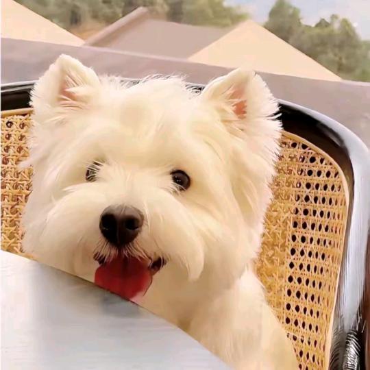 总在睡前数错误