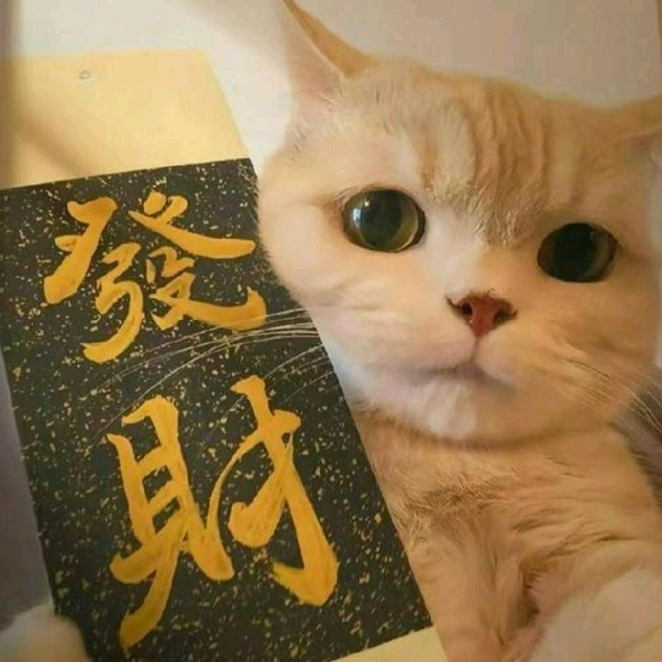 双鱼座的强迫症