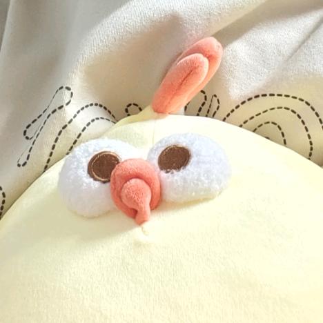 葱