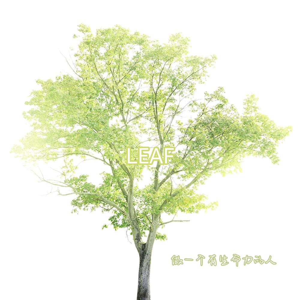 Leaf