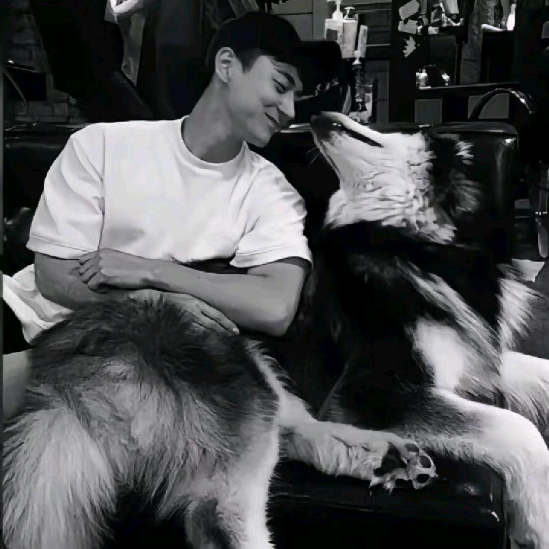 小辉哥.