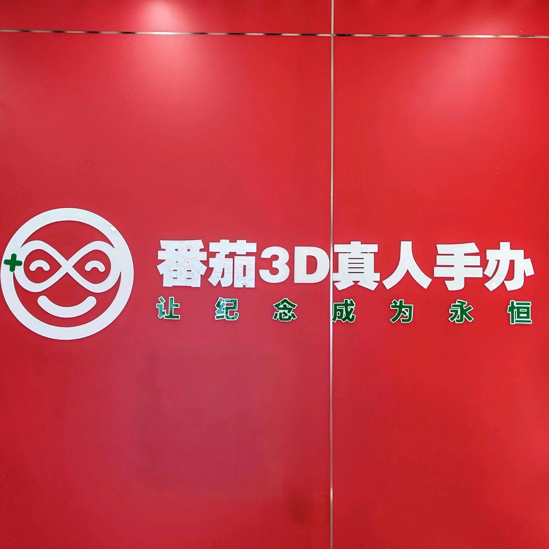 番茄3D真人手办（邯郸道店）
