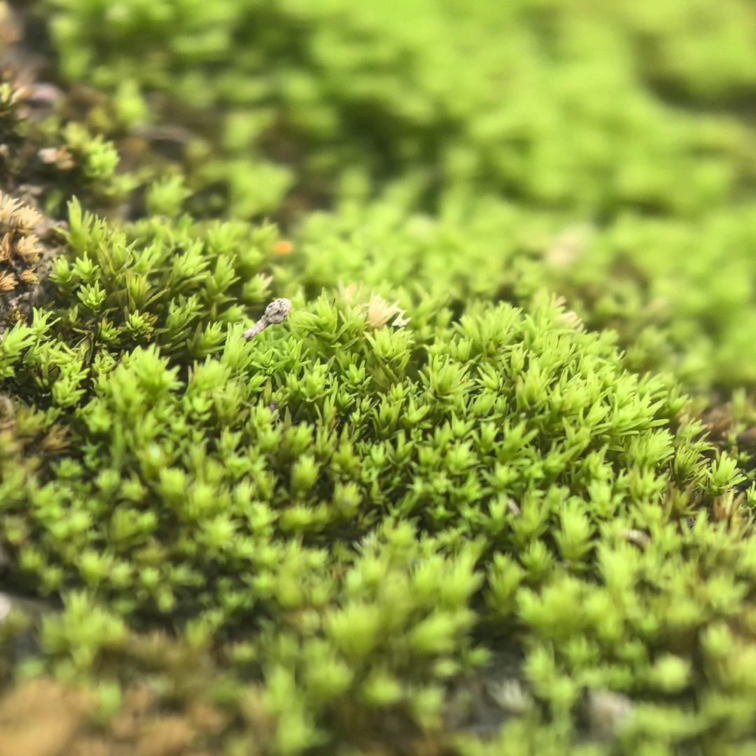 点构视效三维动画