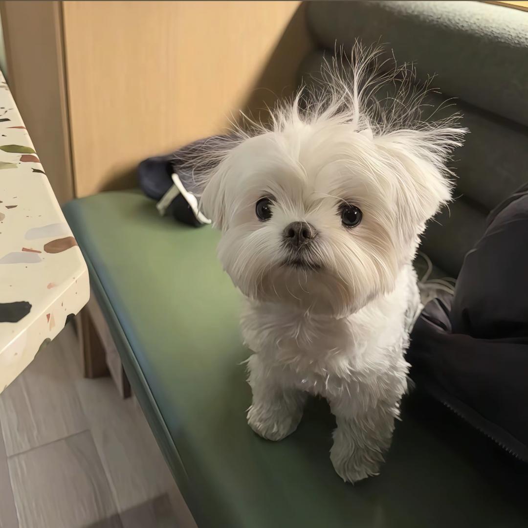 小yu·