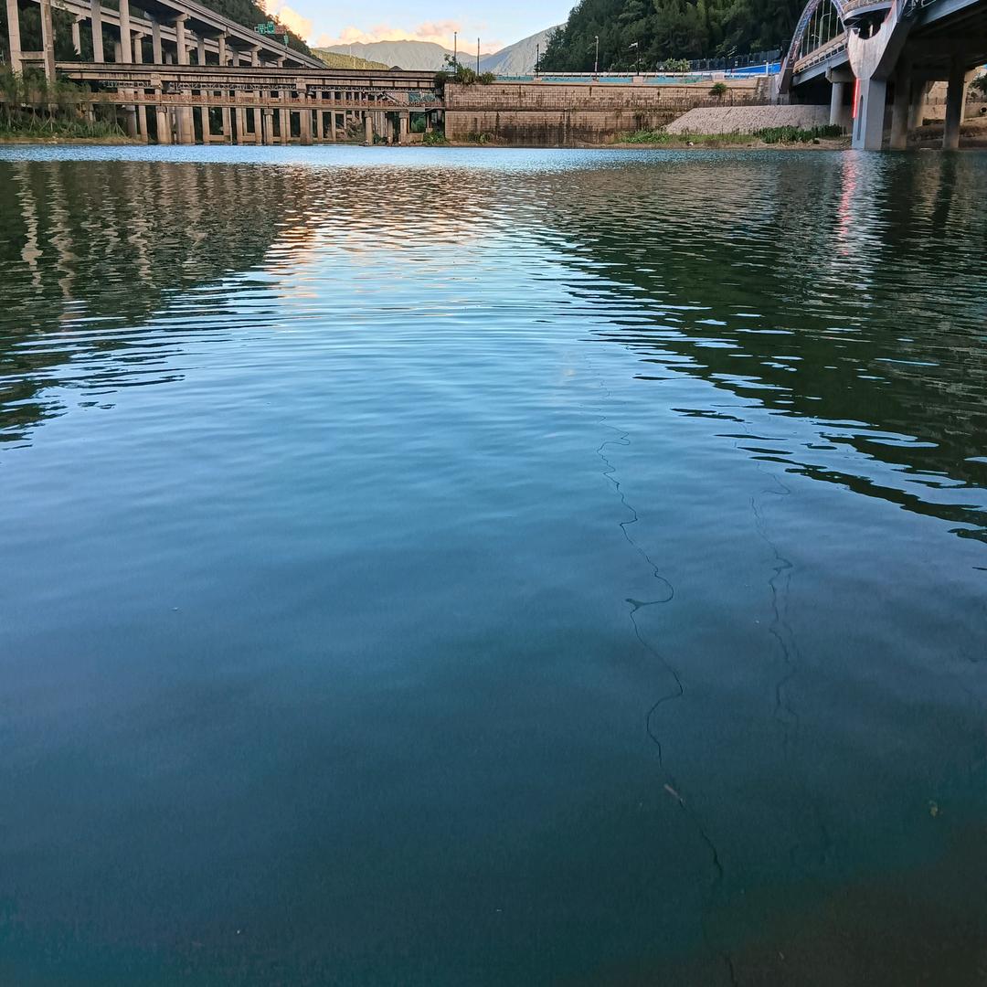 随心所欲