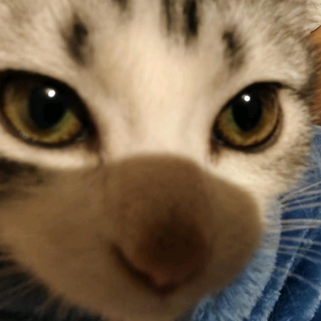 劳秋爱money✨（世俗抠脚老嫲嫲版）