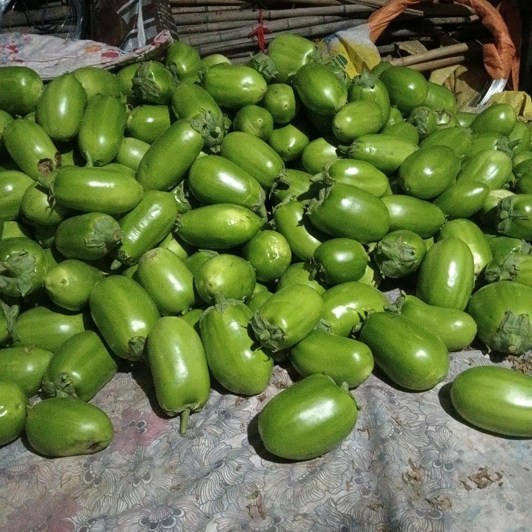 尹哥是聊天主播。