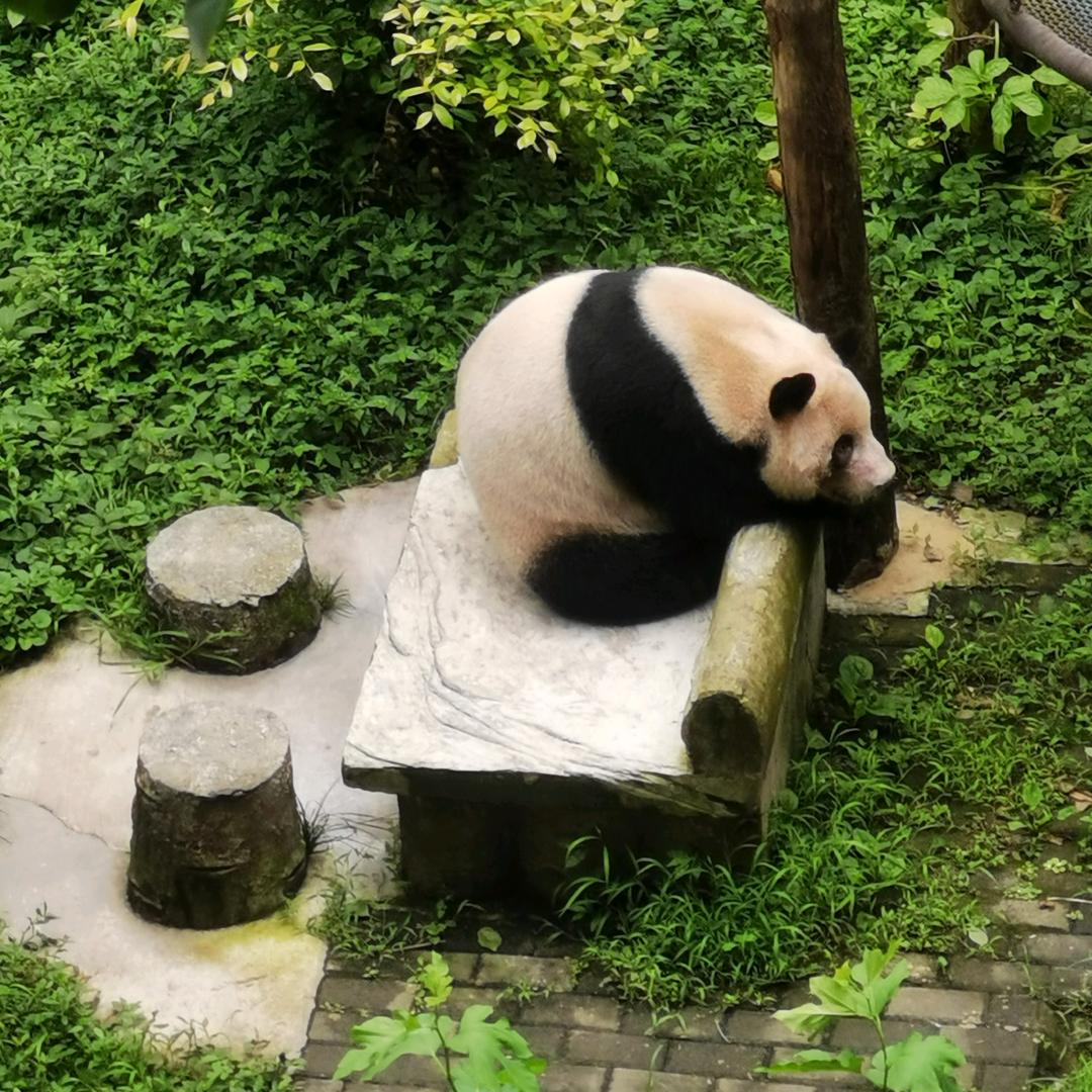 嘉兴充电桩服务