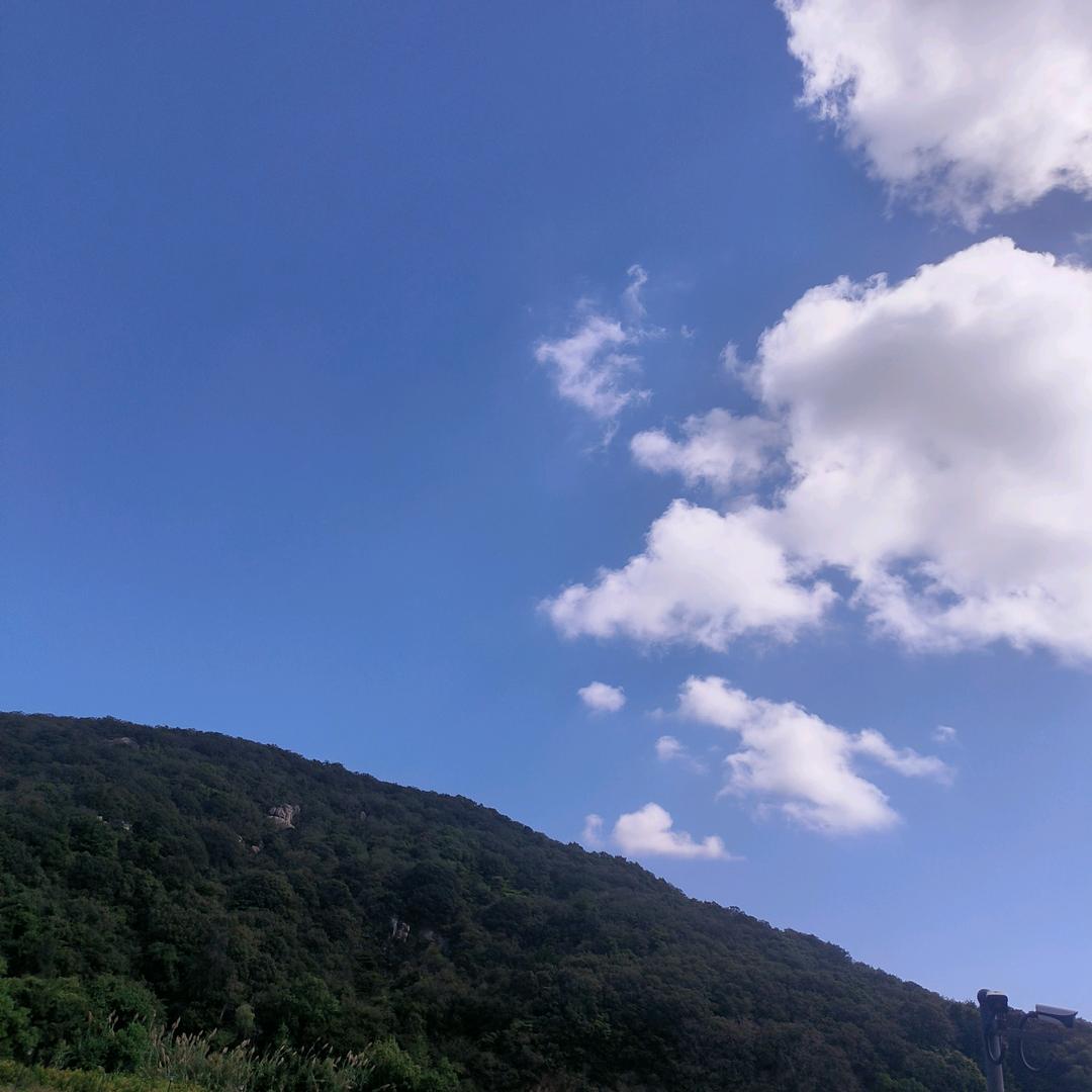 很高兴认识你。