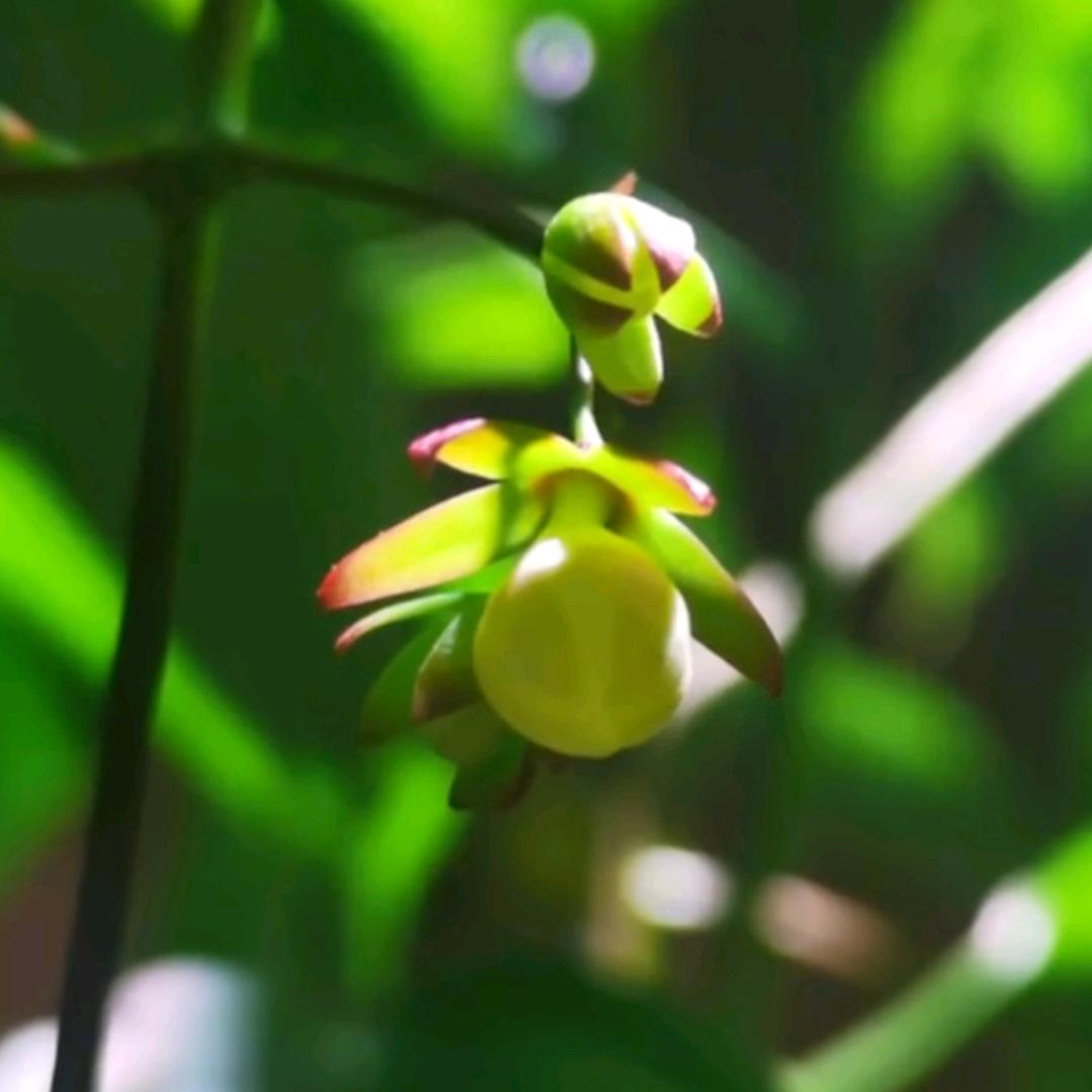 花开深处🌸😴💤