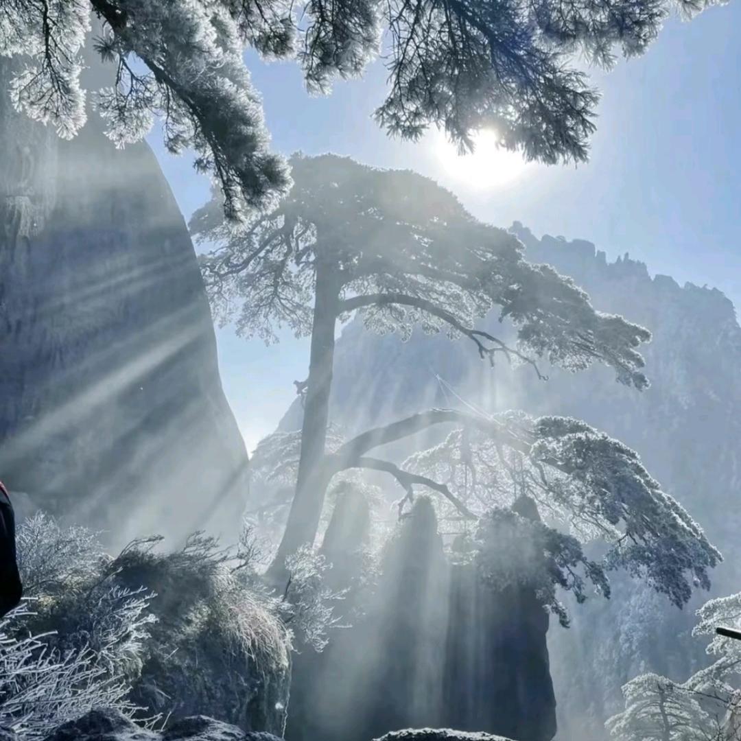 豫发汽车三膜店