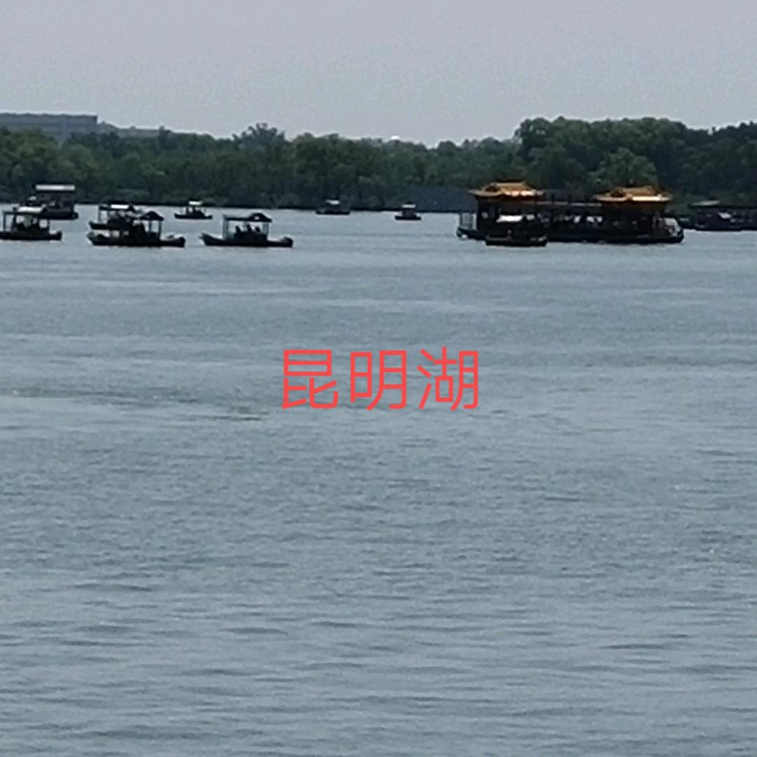 相依相伴