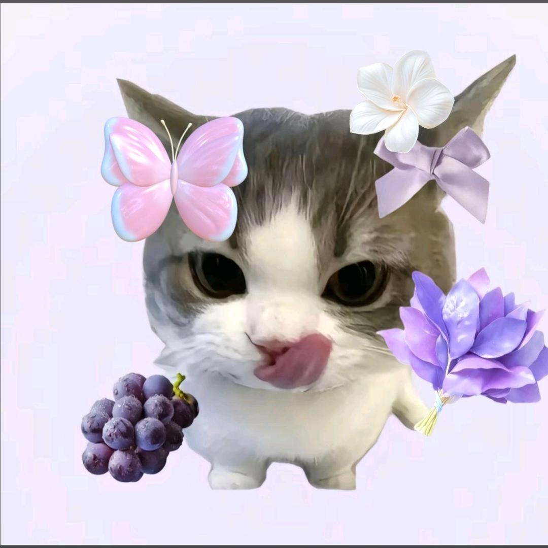 喵不是天真女巫