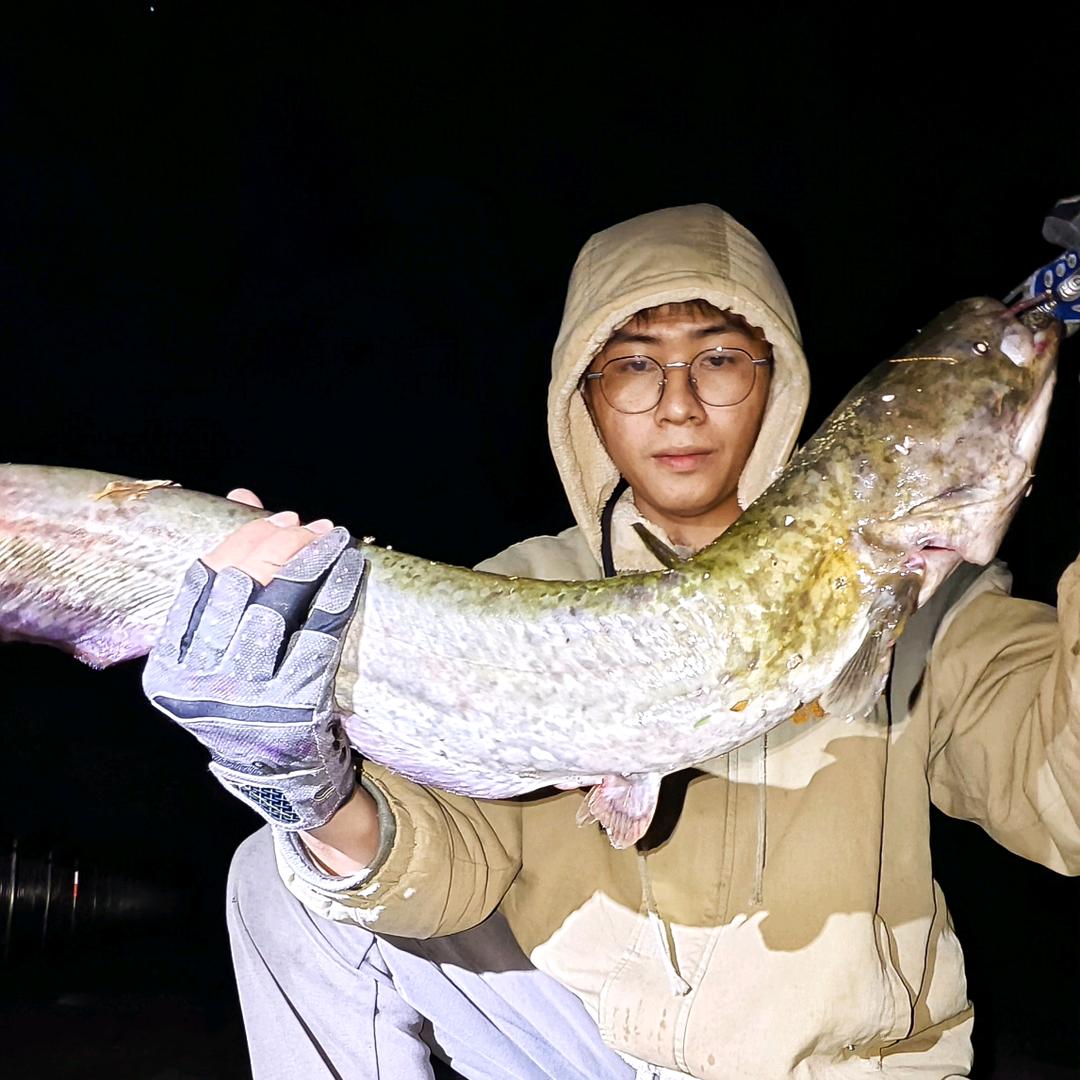 卜拿娜🎣