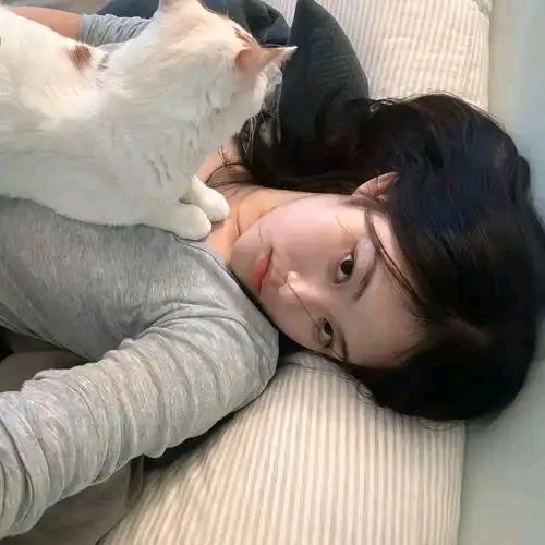 宠胃研究所
