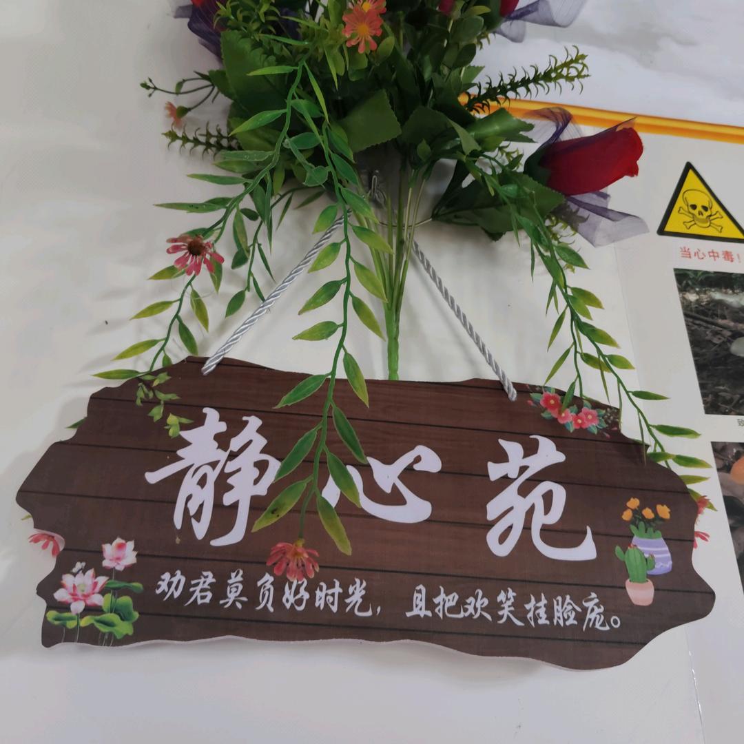 释怀郭