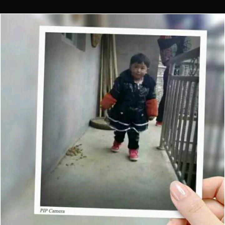 美丽趵玫瑰