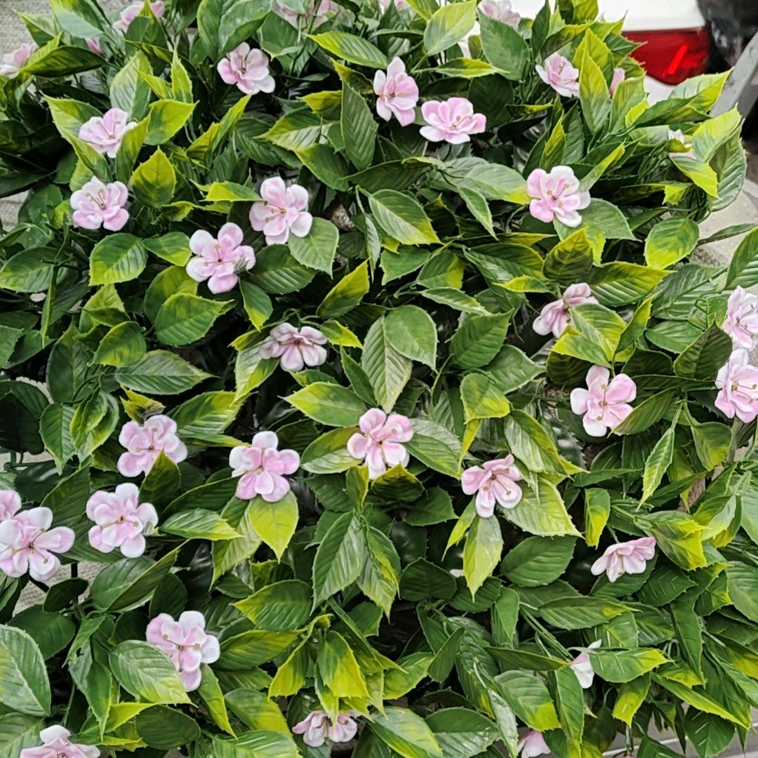 插花手工