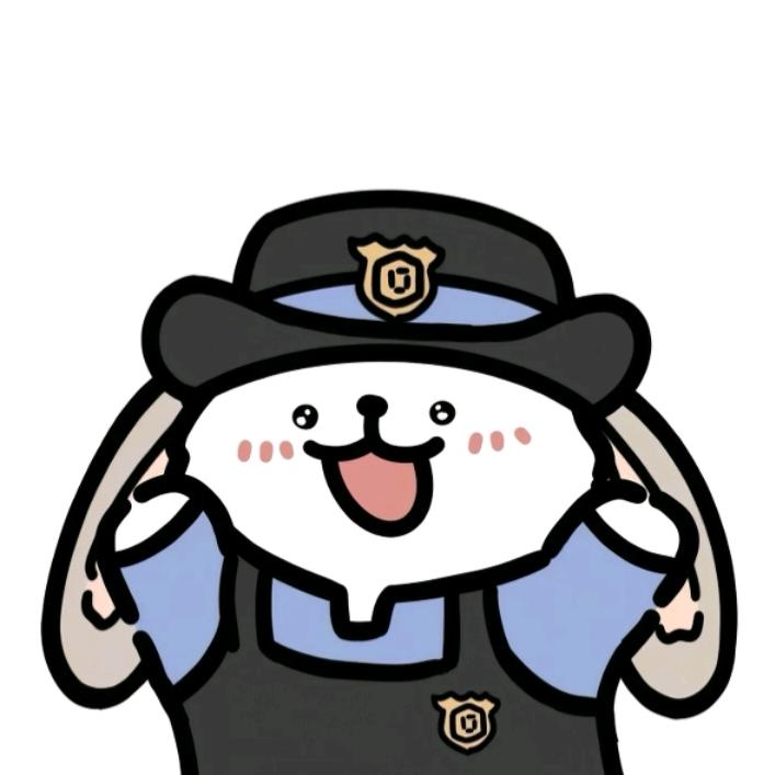 白玫瑰💤