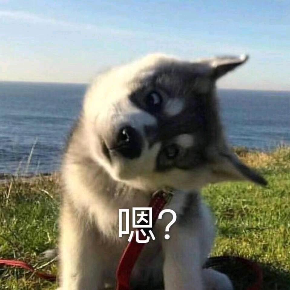 雨欲与鱼语丶