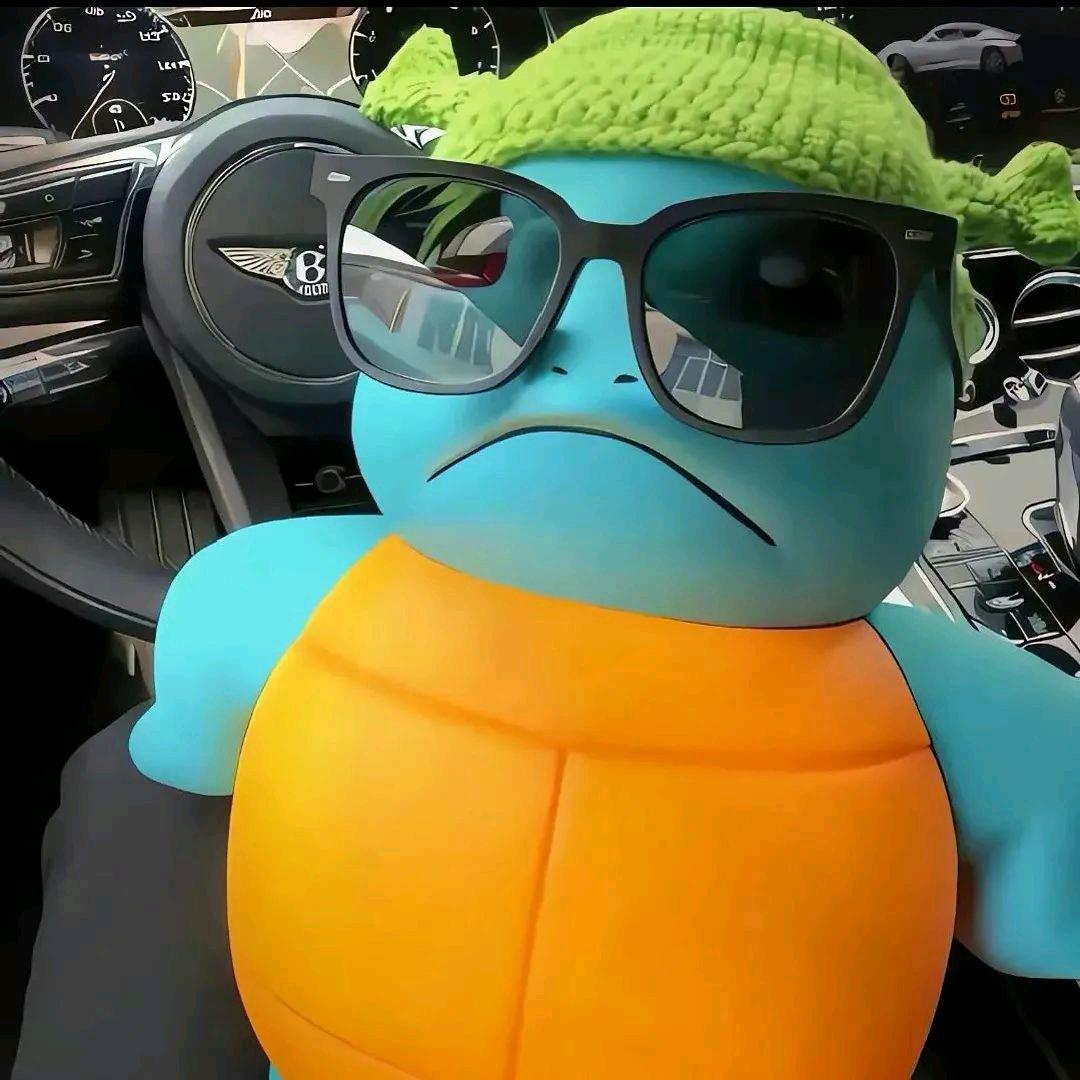 养🐢的小黄