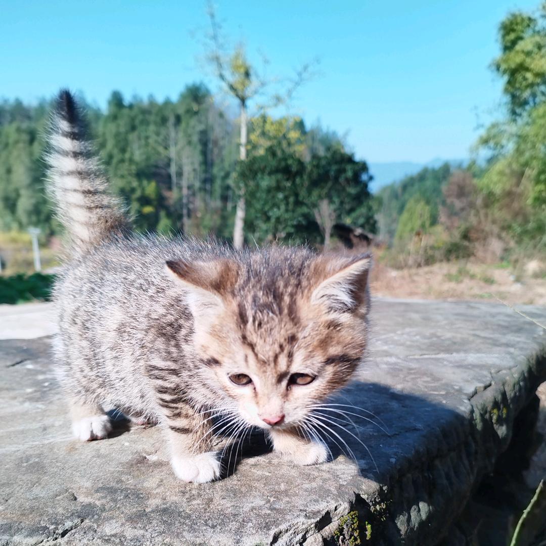 ༊᭄ᮨ万᭄事⃝藏于心໌້ᮨꦿ🌼