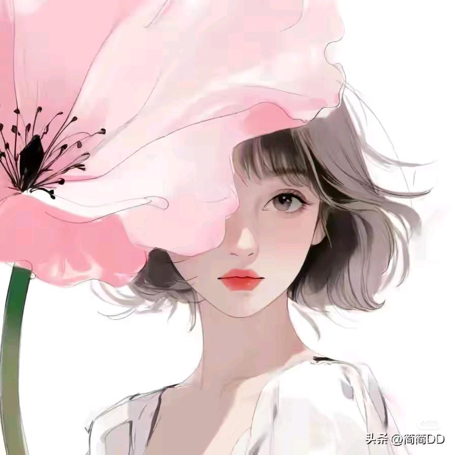 鑫淼²²