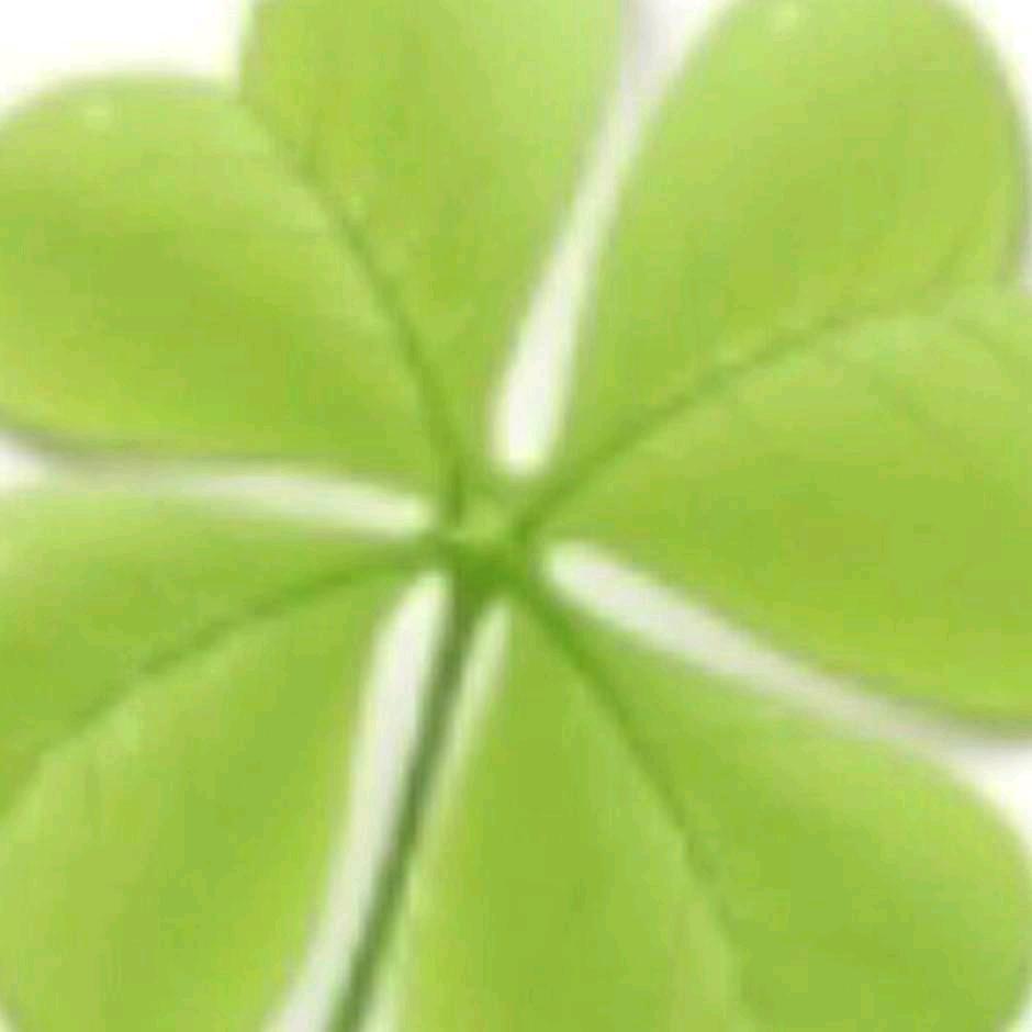 德化县美丽美新贸易商行