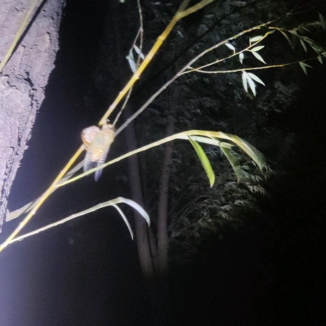 🈶1️⃣说1️⃣