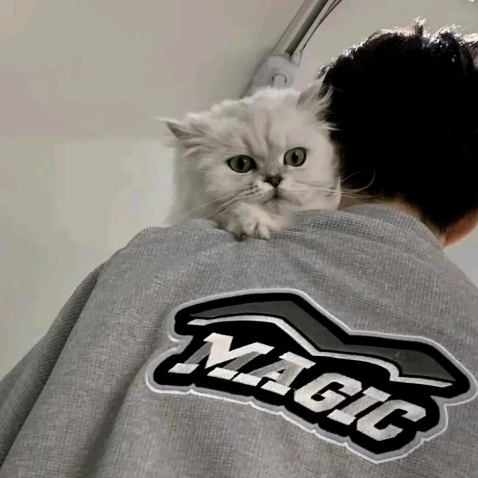 🥹礼貌退场🙂