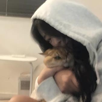 毛绒小面包
