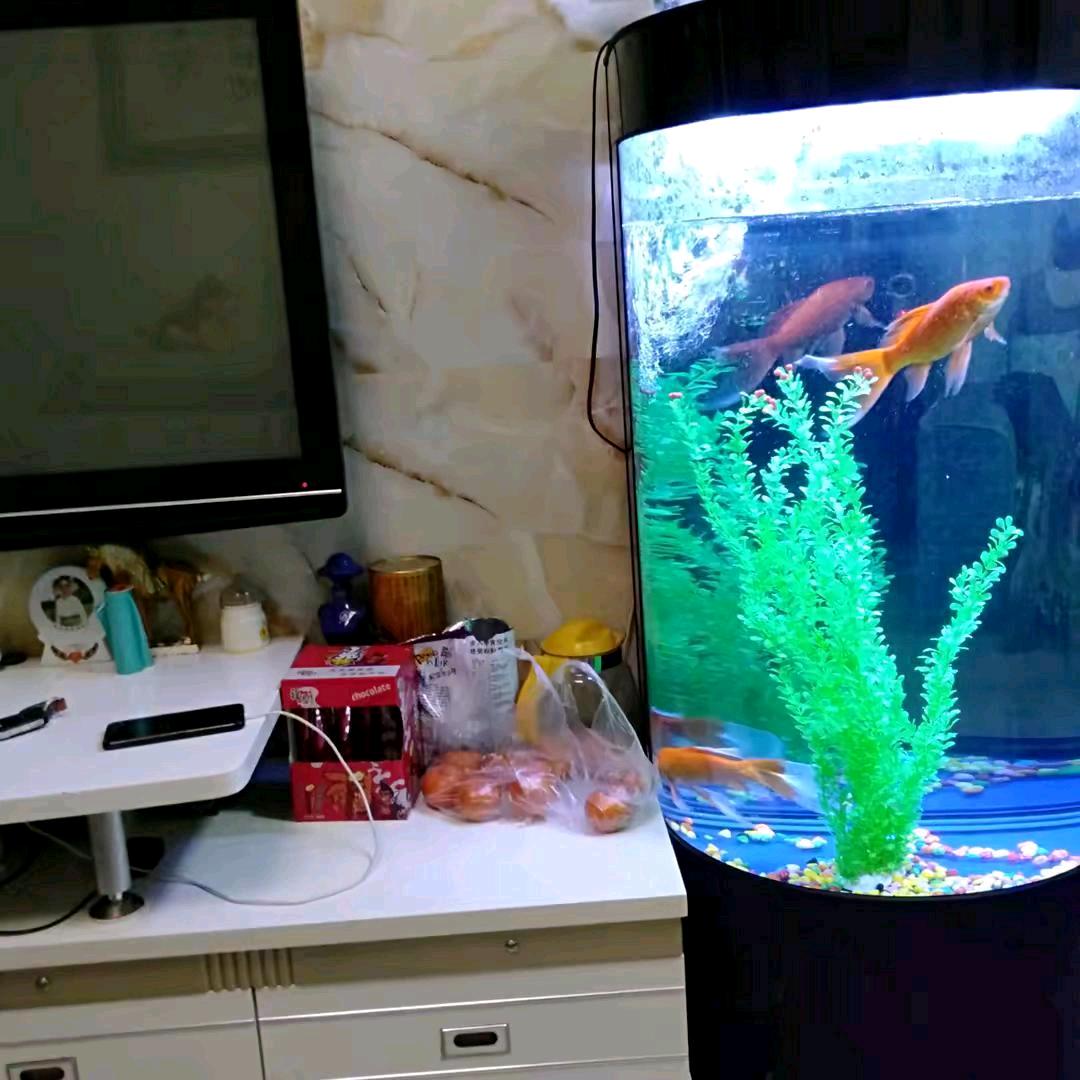 送水哥，商丘宁陵县，