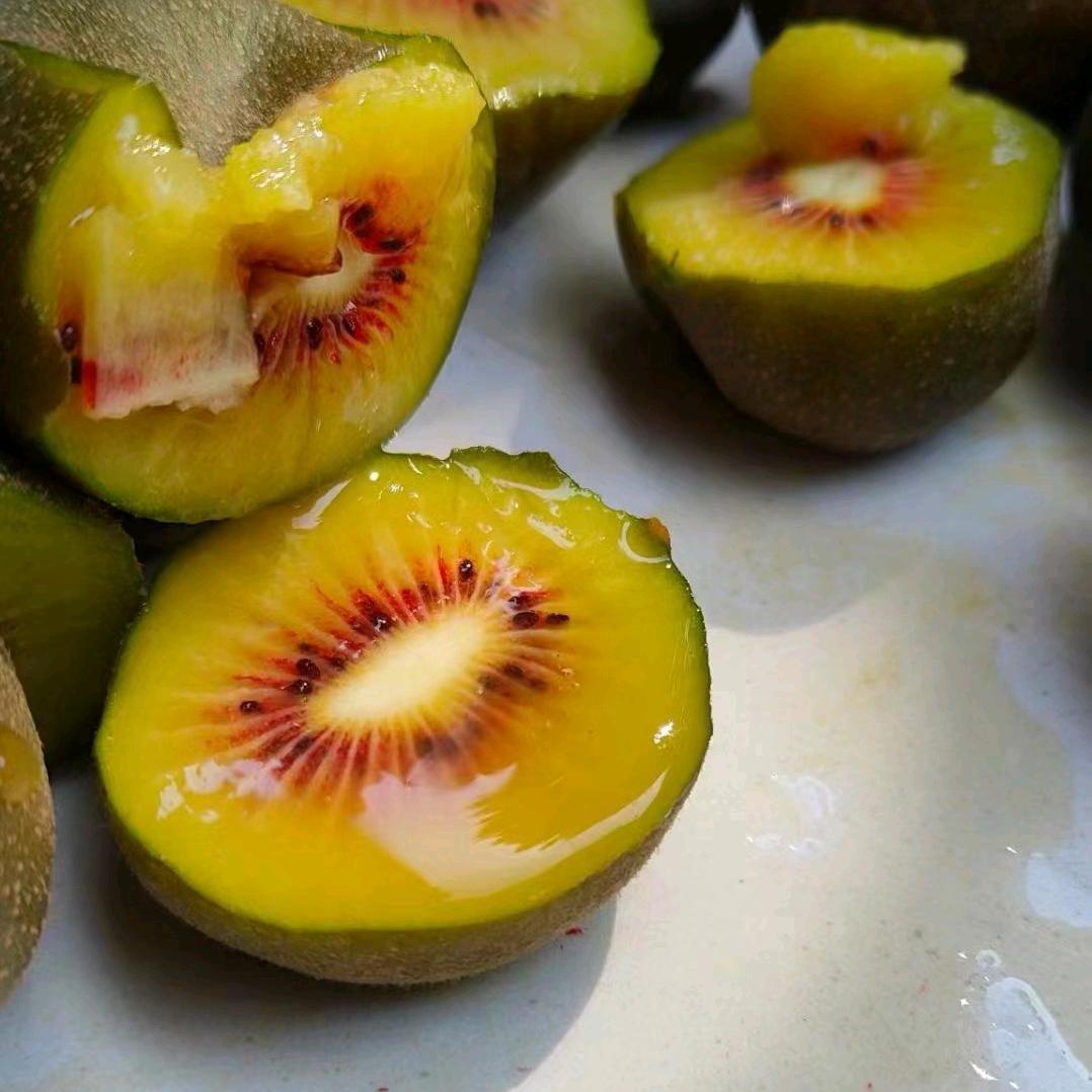 川西高山红心猕猴桃、