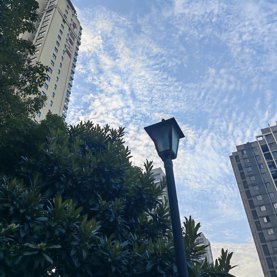 一条影视