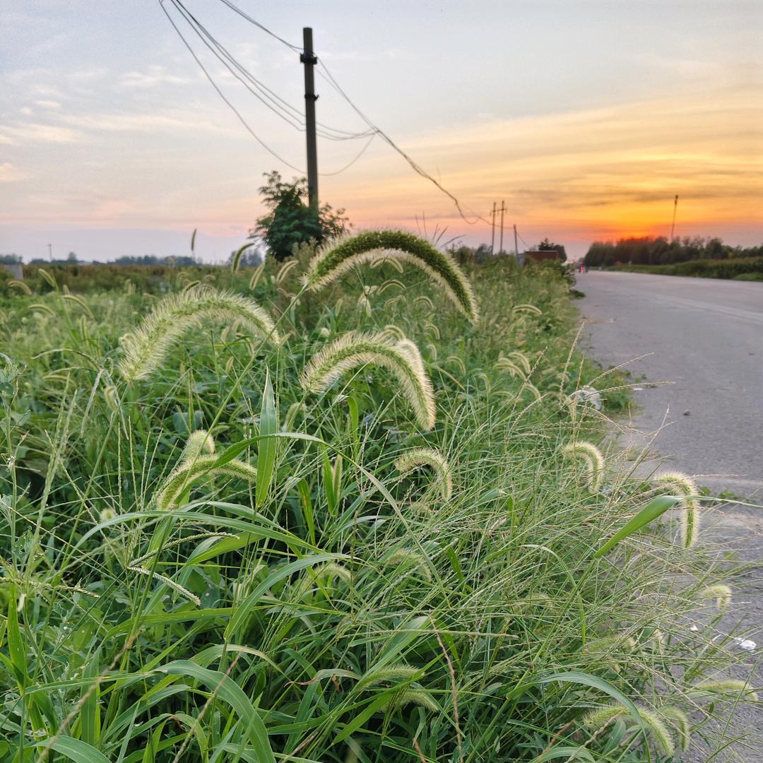 🌈旺旺仙贝🍎