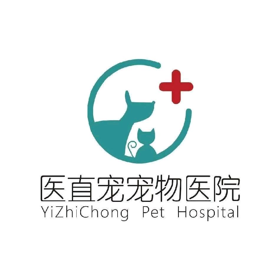 邓州医直宠宠物医院