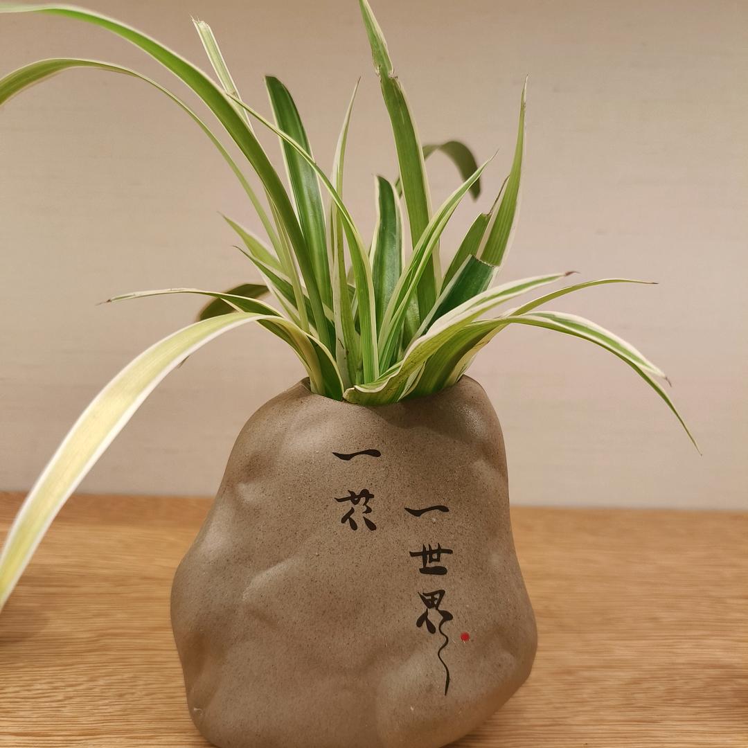 专业电工☀️电路电缆故障检测