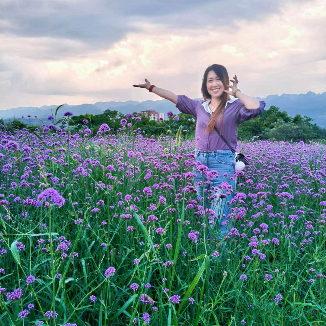 🐟从此封心🐟