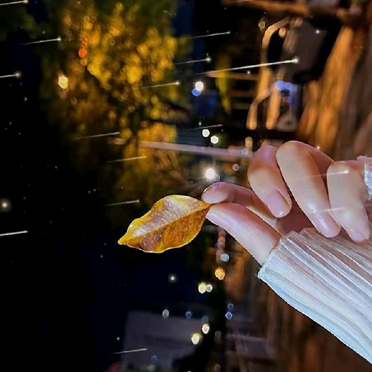雨露含珠