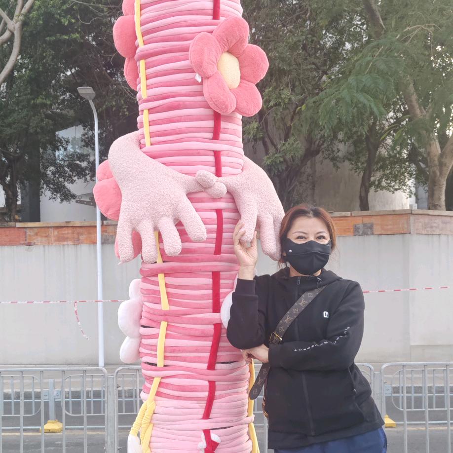 我行我素刺猬