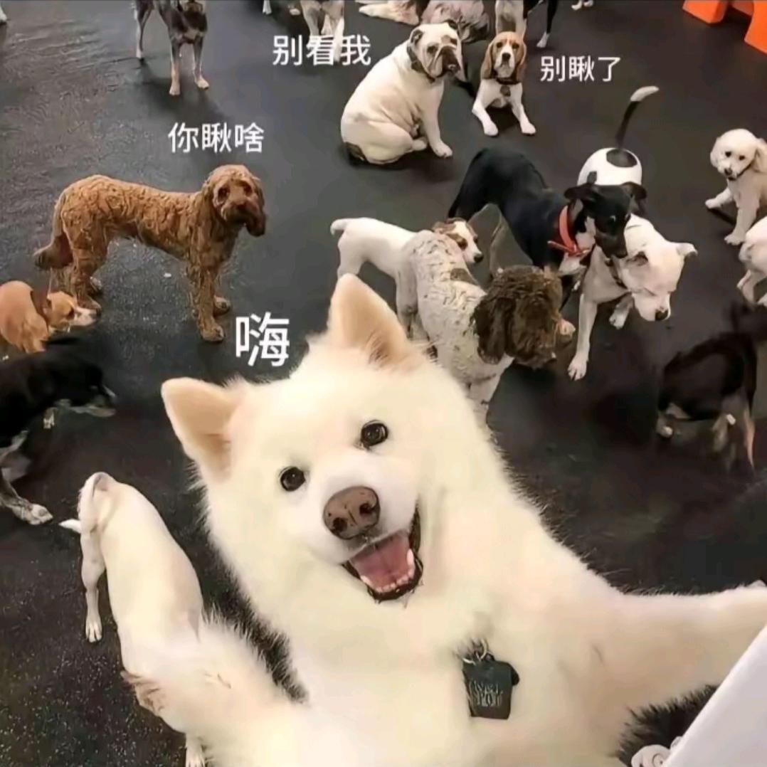啊希吖